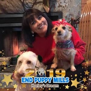 Meet your Posher, Rose